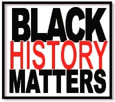 BLACK HISTORY MATTERS SERIES Ebook